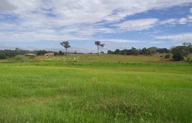 Imagem 4: Belíssima fazenda de 53 alqueires, região de Presidente Prudente terra...