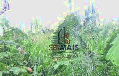 Imagem 5: Sítio à venda, 605000 m² por R$ 250.000,00 - Zona Rural - Humaita/AM