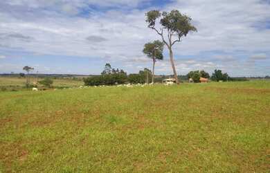 Imagem 8: Belíssima fazenda de 53 alqueires, região de Presidente Prudente terra...