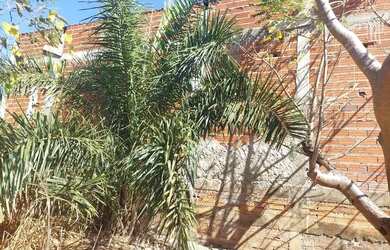 Imagem 5: Lote em goianira. 360m² de Área