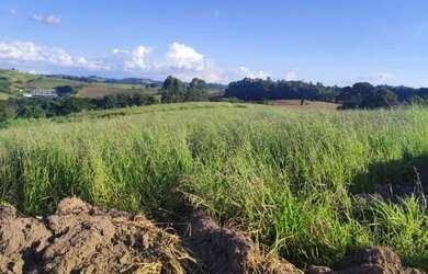 Imagem 2: Lote/Terreno para venda possui 800 metros quadrados em Jardim Imperial...