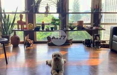 Imagem 2: Raridade_ Apartamento Condomínio Casa Alta _ Vista Unica