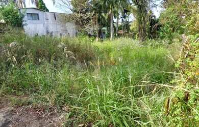 Imagem 6: Chácara - Área Rural de Artur Nogueira - Artur Nogueira