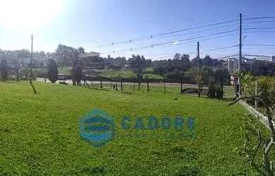 Imagem 13: Terreno a venda bairro Desvio Rizzo com 3.014m²