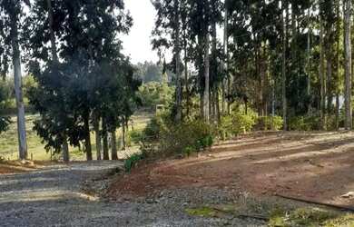 Imagem 15: Sítio - Bairro Rural. Varanda, Área de serviçoe15.000m² de Área