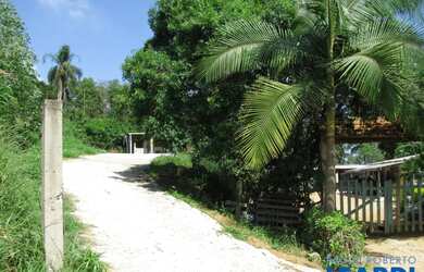 Imagem 3: AREA - LARANJA AZEDA - SP