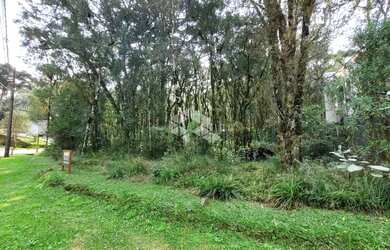 Imagem 2: Pinheiro Grosso. 734m² de Área