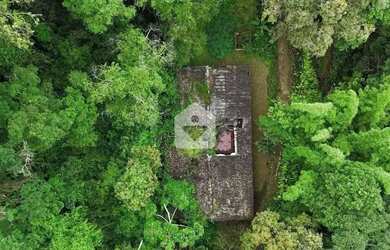 Imagem 13: Casa para venda com 6 quartos, 12336m² - Itaipava - Petrópolis/RJ