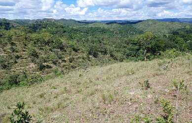 Imagem 11: A M IMOVEIS VENDE EXELENTE FAZENDA NA FERCAL COM 10 ALQUEIRES