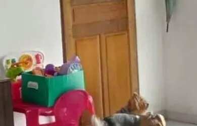 Imagem: A casa possui 4 Dormitórios, 2 Banheiros e 2 Vagas na garagem