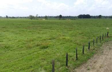 Imagem 4: R$ 20 milhões 1107 hectares pronta e 100 documentada aceita 50 de entrada