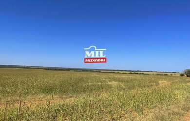 Imagem 5: Fazenda 115 Alq 566 HÁ formoso do Araguaia-TO