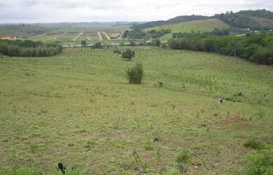 Imagem 8: FAZENDOLA - AREA 72.600M2 - FRENTE RJ-124 VIALAGOS-ARARUAMA - RJ