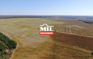 Imagem 10: Fazenda 115 Alq 566 HÁ formoso do Araguaia-TO