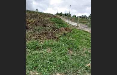 Imagem: A chácara possui 5.000m² de Área e está localizado em Guarani