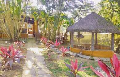 Imagem 5: Papucaia- Região Nobre- Fazendinha/ Haras Montado- Porteira Fechada