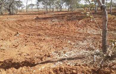 Imagem: A chácara está localizado em Unaí, MG à venda por R$200.000