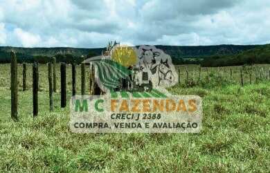 Imagem 12: Fazenda à Venda em Cicero Dantas - BA