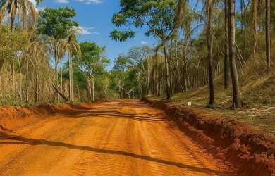 Imagem 8: Terrenos no Bairro do Portão Condições Especiais