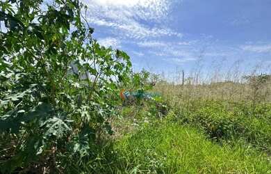 Imagem 6: Terreno à venda - Vila Real - Hortolândia/SP