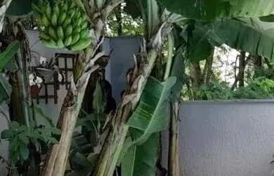 Imagem 3: CASA - SANTANA DE PARNAÍBA