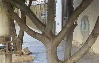 Imagem 4: Casa com 3 dormitórios à venda, 120 m² por R$ 320.000,00 - Eldorado...