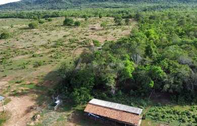 Imagem 14: Fazenda à Venda - 294 Alqueires Tocantins, na divisa com Goiás
