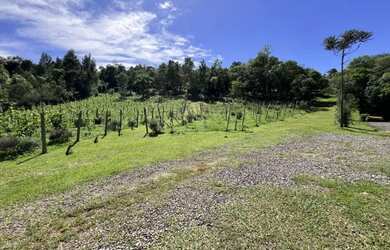 Imagem 8: Sítio - Bairro Linha Nova