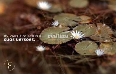 Imagem 16: TERRENO EM GRAMADO. 800m² de Área