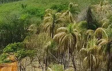 Imagem 4: Terrenos no Bairro do Portão Condições Especiais