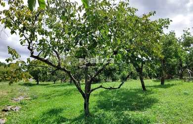 Imagem 8: TERRENO EM GRAMADO. 800m² de Área