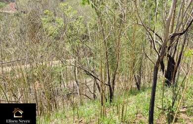 Imagem 8: Vendo Lotes no bairro Retiro de Paty em Paty do Alferes - RJ