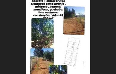 Imagem: O terreno possui 4000m² de Área e está localizado em Paraíso