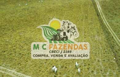 Imagem 14: Fazenda à Venda em Cicero Dantas - BA