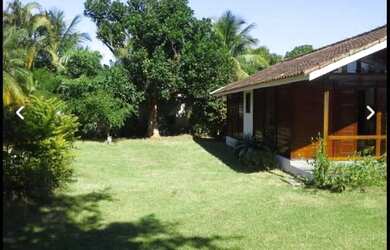 Imagem 5: Vendo ou Alugo Casa com 2 dormitórios