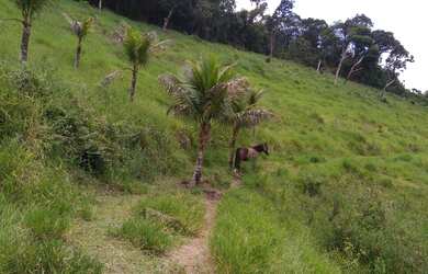 Imagem: Excelente fazenda 160 alqueires