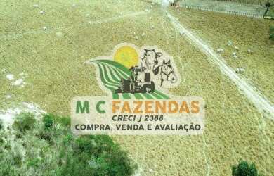 Imagem 9: Fazenda à Venda em Cicero Dantas - BA