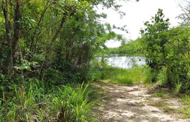 Imagem 12: Fazenda à Venda - 294 Alqueires Tocantins, na divisa com Goiás