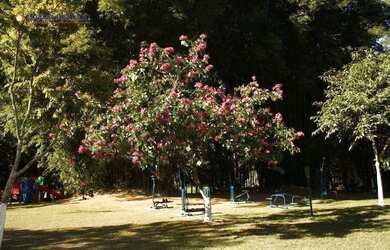 Imagem 15: Terreno à venda, 450 m² por R$ 480.000,00 - Condominio Villaggio Capriccio - Louveira/SP