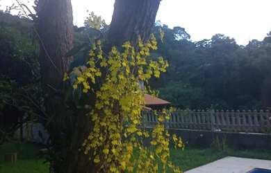 Imagem 2: Chácara em Mairiporã para finais de semana