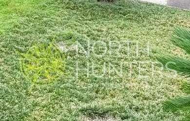 Imagem 4: 3 Casas à venda no bairro Petrópolis, Joinville, SC