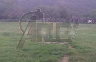 Imagem 10: Fazenda à Venda - 294 Alqueires Tocantins, na divisa com Goiás