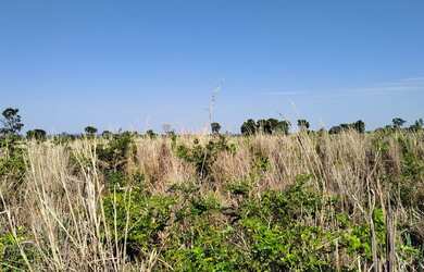 Imagem 13: Fazenda à venda de 497,00 Ha para Agricultura Irrigada Ibiaí - MG
