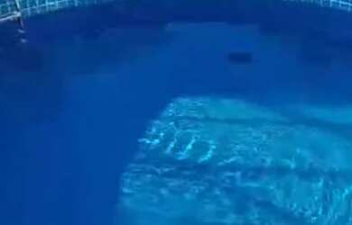 Imagem 6: Apartamento 2/4 Apartamento com 2 dormitórios