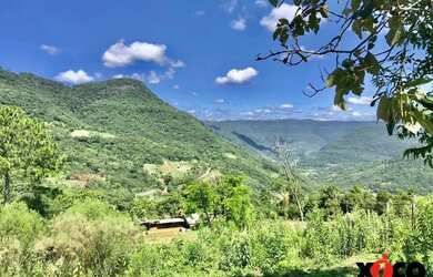 Imagem 4: Sítio / Chácara para Venda em Nova Petrópolis, Linha Pirajá Baixa
