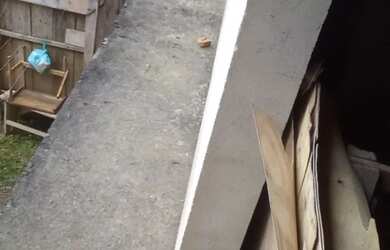 Imagem: A casa possui 4 Dormitórios, 3 Banheiros, 120m² de Área e