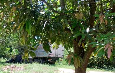 Imagem 13: Casa. Varanda, 1.000m² de Área, 1 Banheiroe3 Dormitórios