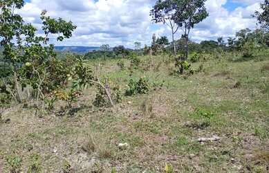 Imagem 13: A M IMOVEIS VENDE EXELENTE FAZENDA NA FERCAL COM 10 ALQUEIRES