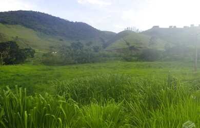 Imagem 14: Fazenda 540 ha, Rio Preto/MG, centenária, 65km de Juiz Fora