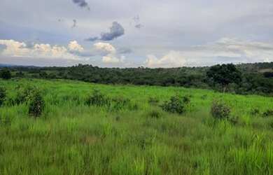 Imagem: A fazenda possui 70m² de Área e está localizado em Poconé